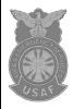 USAF - FES (silver center)